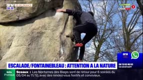 Fontainebleau: l'escalade en forêt rencontre un vrai succès, l'Office national des forêts veut sensibiliser les usagers