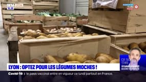 Lyon : optez pour les légumes moches !