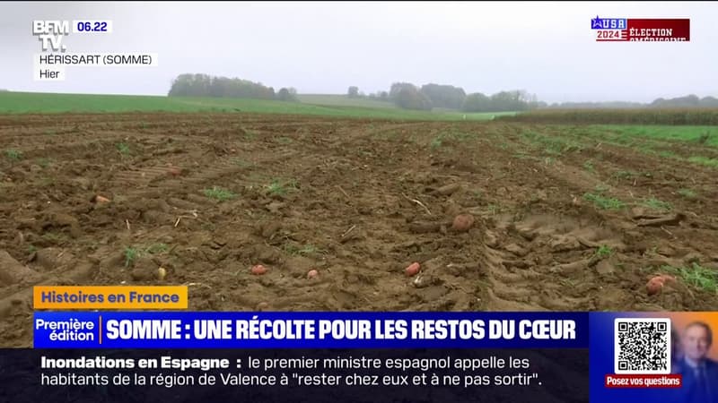 Grâce à cet agriculteur de la Somme, Les Restos du CSur recevront 100 tonnes de pommes de terres