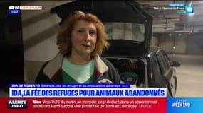 Alpes-Maritimes: Ida, la fée bénévole des refuges pour animaux abandonnées