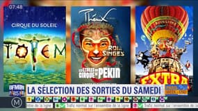 "Totem", "Le Roi des Singes", "Cirque Bouglione" : les trois plus beaux spectacles de cirque à ne pas manquer