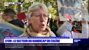 Lyon : le secteur du handicap en colère 