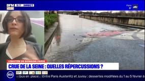Crue de la Seine: la mairie de Paris a renforcé "les maraudes pour surveiller les berges"