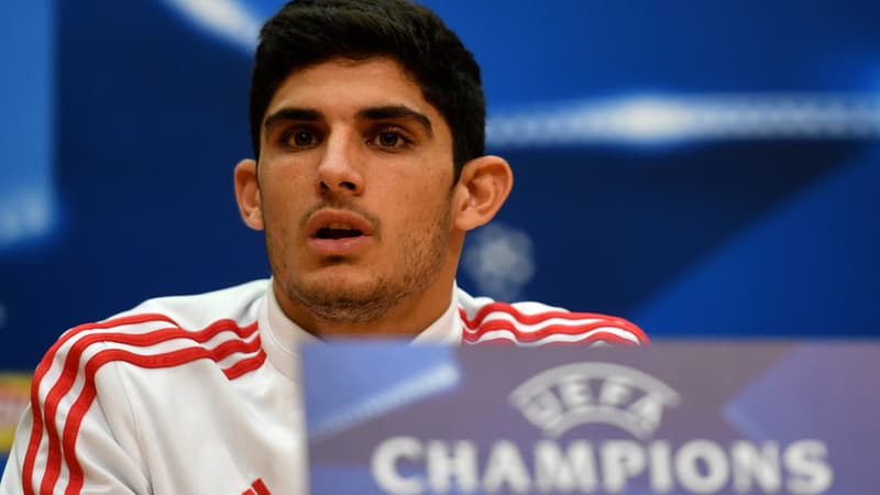Gonçalo Guedes