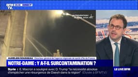 Notre-Dame : y a-t-il surcontamination ? - 15/10