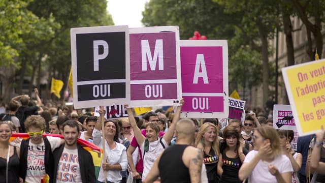 La PMA et la GPA a été au coeur des manifestations des associations homosexuelles