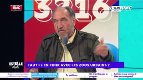 Supprimer les zoos urbains : "Arrêtons de supprimer le rêve des enfants", s'indigne Robert Sebbag
