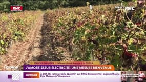 L'amortisseur électricité, une mesure bienvenue 