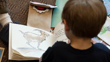 14% des enfants élèves en primaire et en secondaire ne lisent jamais, selon leurs parents, révèle un sondage Opinionway.