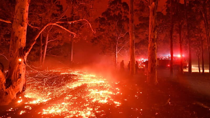 L'incendie qui racage actuellement l'est de l'Australie - Image d'illustration 