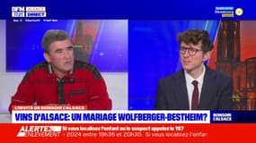 Alsace: le rapprochement des caves Wolfberger et Bestheim va créer une "machine de guerre"