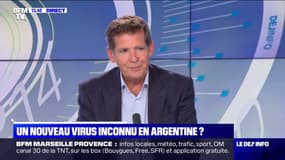 Argentine: trois personnes sont mortes d'une pneumonie sévère "d'origine inconnue"