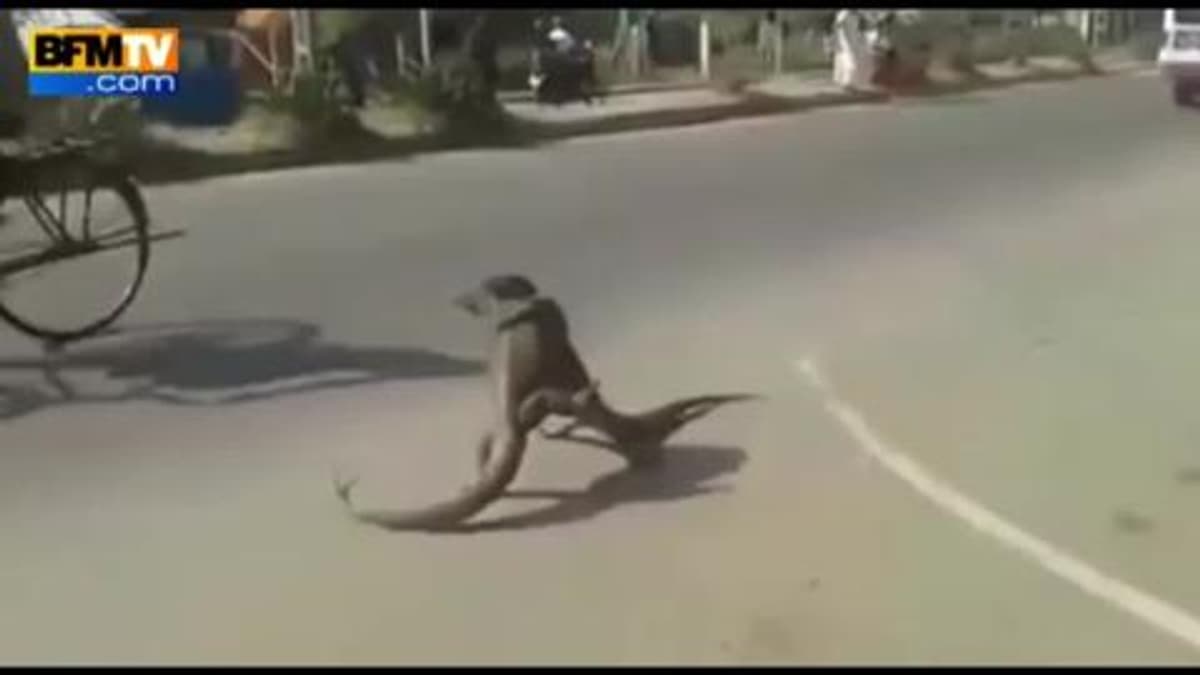 placeholder video