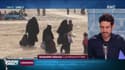 Dix enfants de djihadistes français ont été rapatriés en France
