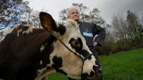 La vache normande Oreillette et son propriétaire, dans un champ du Groupement Agricole Commun (GAEC) Foucault, le 24 novembre 2024 à Briouze, dans l'Orne