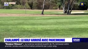 Le golf du Rhin s'adapte à la sécheresse et aux restrictions d'eau