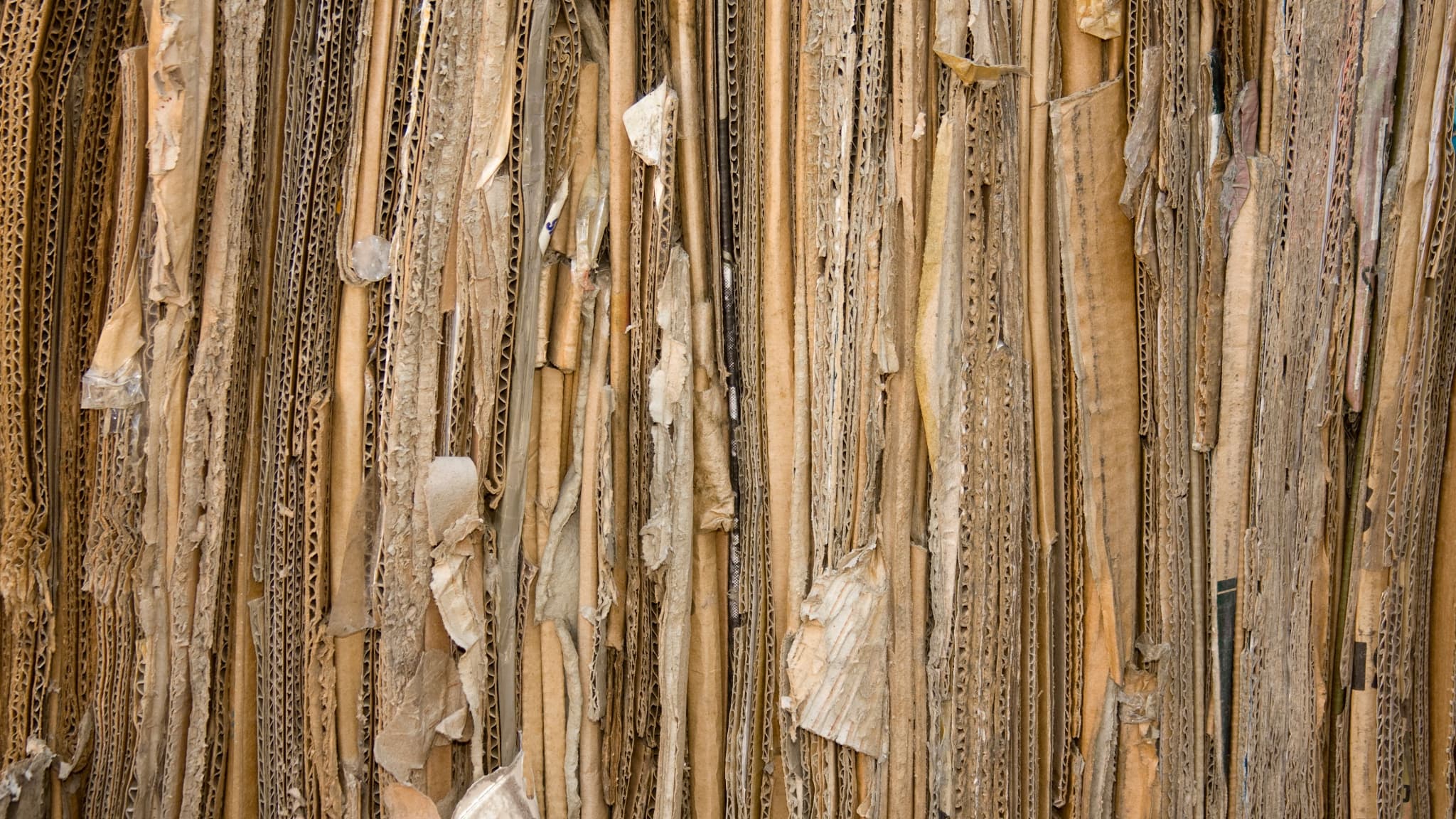 Kartonu Plastik Yerine Kullanan Mühendis, Lüks ve Havacılık Sektörünün İlgisini Çekti