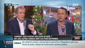 Un logo qui assure le respect de l'environnement pour bien choisir son sapin de noël - 14/12 
