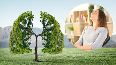 GreenReso, spécialiste de la purification de l'air