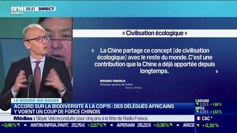 Benaouda Abdeddaïm: Accord sur la biodiversité à la COP15, des délégués africains y voient un coup de force chinois - 20/12