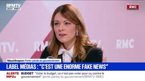 "C'est une fake news": Maud Bregeon, porte-parole du gouvernement, assure qu'il n'y a "pas de label d'État" pour les médias