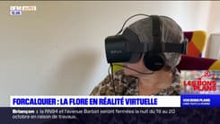 Forcalquier: des films en réalité virtuelle proposés pour découvrir la flore