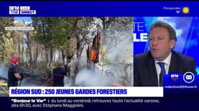 Planète locale du lundi 4 mars - Region Sud : 250 jeunes gardes forestiers 