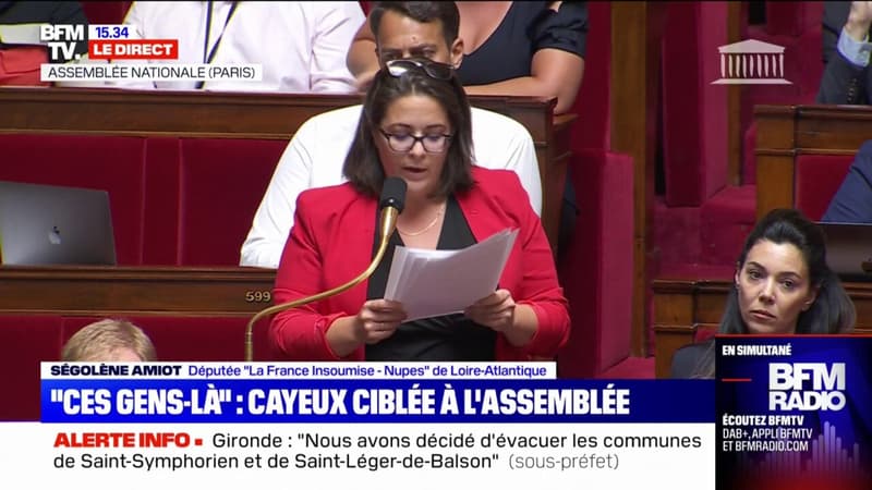 Ségolène Amiot (Nupes) interpelle le gouvernement suite aux propos de Caroline Cayeux: 