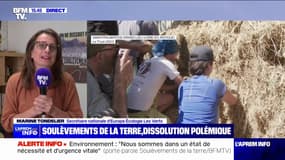 Dissolution des Soulèvements de la Terre: "C'est une décision politique", estime Marine Tondelier, secrétaire nationale d'EELV