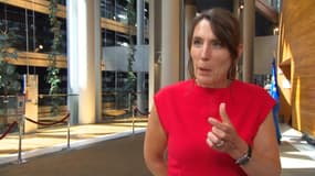L'oeil de Bruxelles : Projet d'euro-redevance, le principe de pollueur-payeur - 08/06