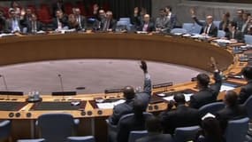 Les membres du Conseil de sécurité de l'ONU se prononçant sur l'intervention française en Centrafrique, le 5 décembre dernier.