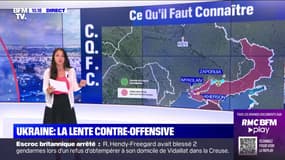 Guerre en Ukraine: où en est la contre-offensive lancée par Kiev dans le sud du pays?