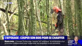 L'affouage: couper son bois pour se chauffer