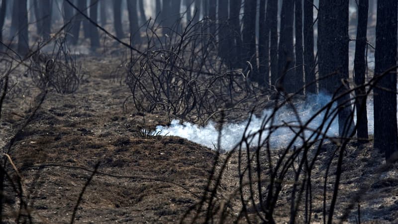 Gironde: six mois après les incendies, le feu continue de brûler sous terre