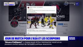 Hockey: Mulhouse affronte les Dragons de Rouen