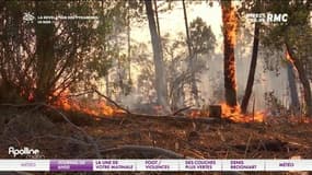Var: un homme arrêté après avoir tenté de déclencher un incendie
