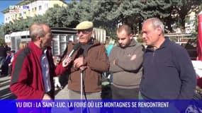 VU DICI : La Saint-Luc, la foire où les montagnes se rencontrent 