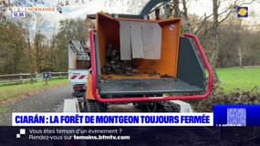 Tempête Ciaran: la forêt de Montgeon toujours fermée