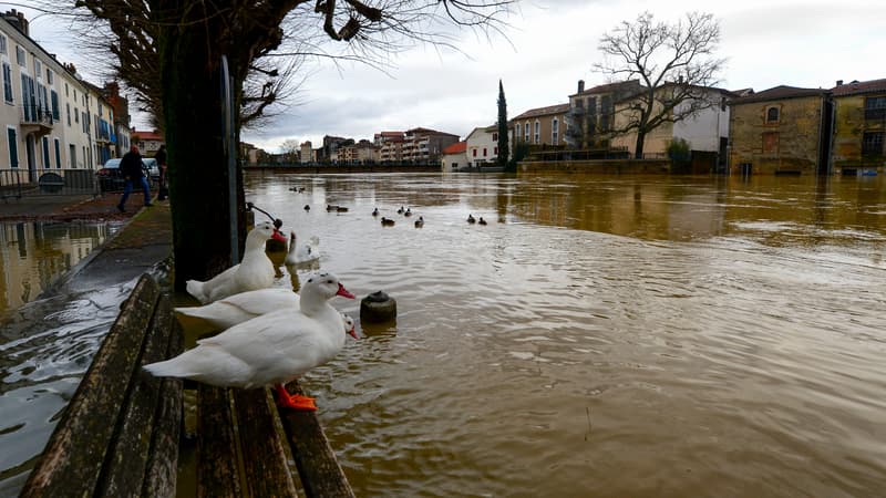 Landes: