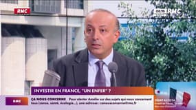 "L'enfer" d'investir en France? "On a un état Léviathan qui bride les initiatives"