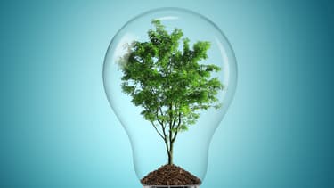 Les géants de l'industrie énergétique ont mis en œuvre des démarches de start-ups pour adresser les marchés émergents.