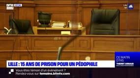 Lille: un pédophile condamné à 15 ans de prison pour viols et agressions sexuelles 