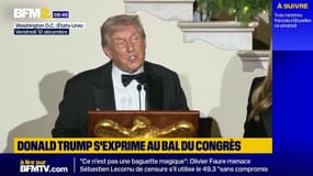 Selon Donald Trump, "les nations européennes rapportent [qu'il] pourrait tout aussi bien être le leader des nations européennes"
