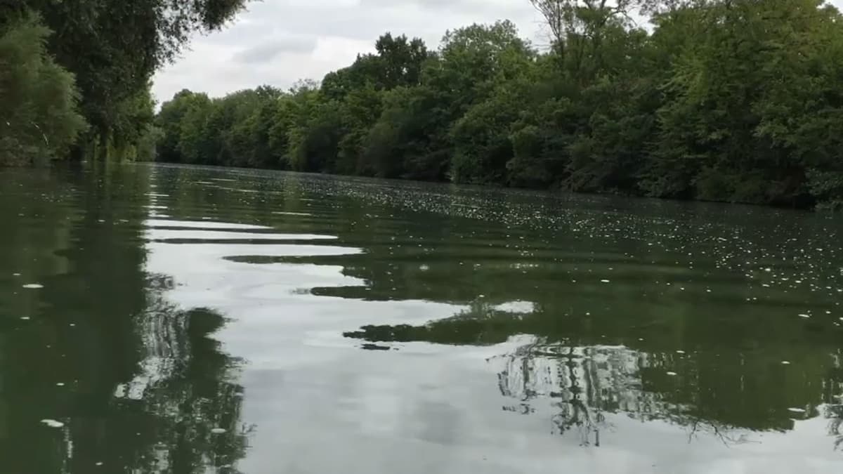 placeholder video