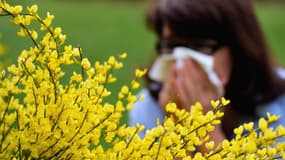 Une femme allergique au pollen (Photo d'illustration)