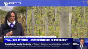 Marie-Françoise Ratron (vigneronne dans le Maine-et-Loire) sur le gel attendu prochainement: "Le risque est de perdre la récolte de cette année et d'entacher celle de 2025"