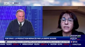 Marie-Pierre Pé (CIFOG) : Foie gras, la production menacée par la grippe aviaire - 16/12