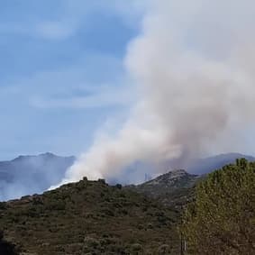 Incendie à Saint-Florent (Haute-Corse) - Témoins BFMTV