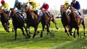 Les pronos hippiques du 29 avril 2025