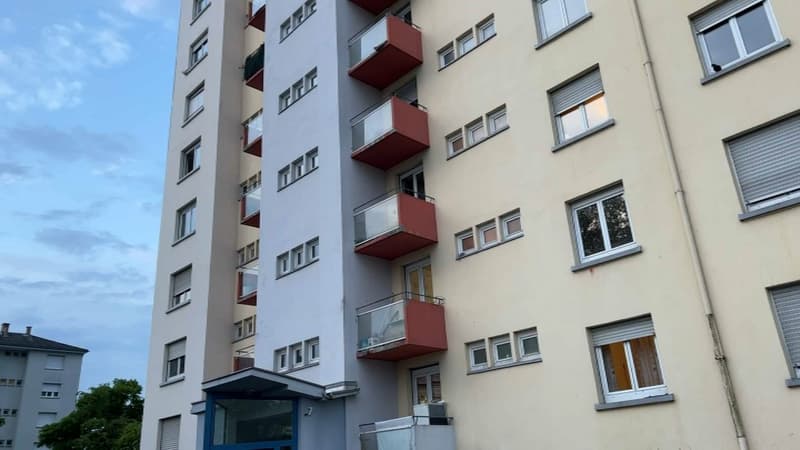 Accidents de la vie, revenus irréguliers... Comment expliquer la hausse "record" des expulsions locatives?